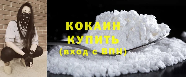 дживик Богданович