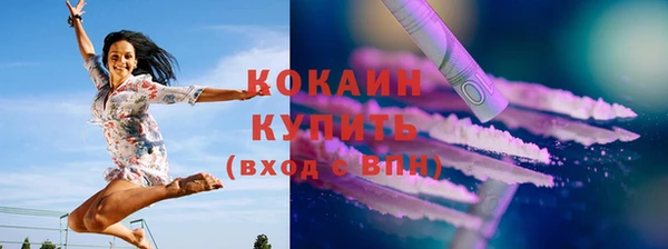 дживик Богданович